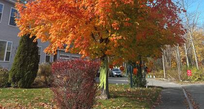 Serene & Charming 2BR Guest Apartment – Near Trails & Downtown Portland