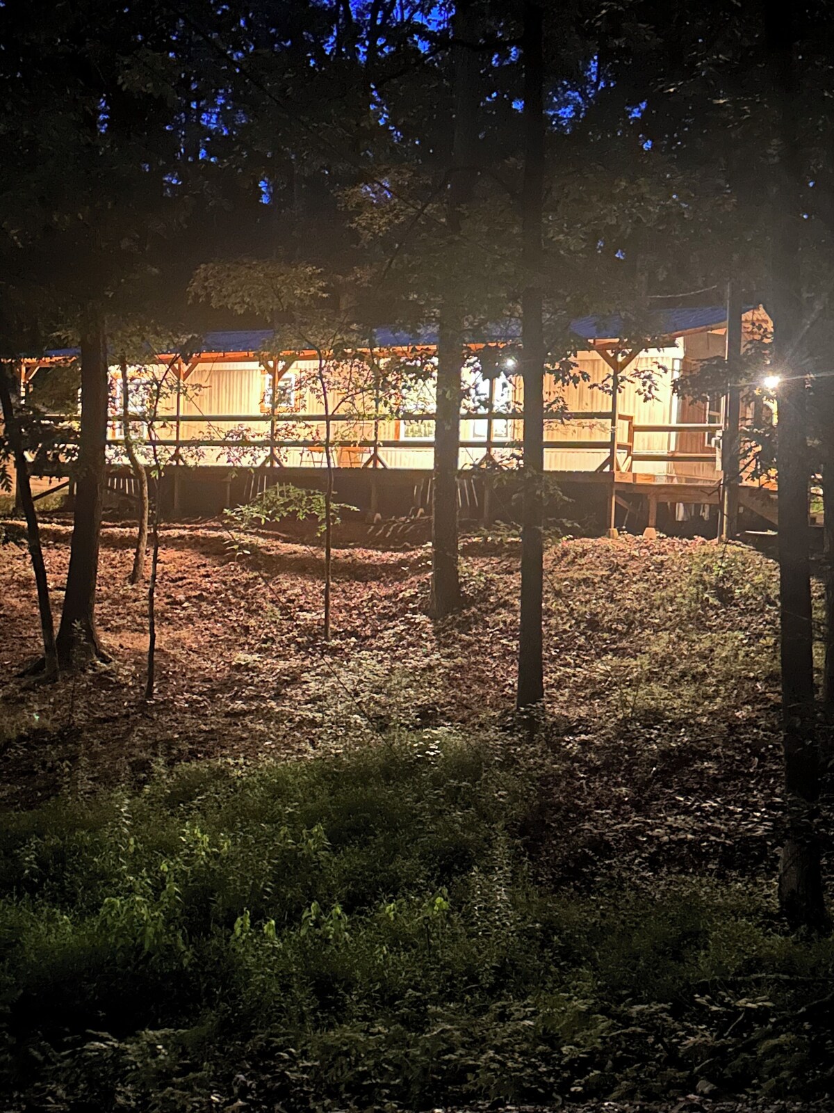 Imagen de perfil del propietario o de la propietaria