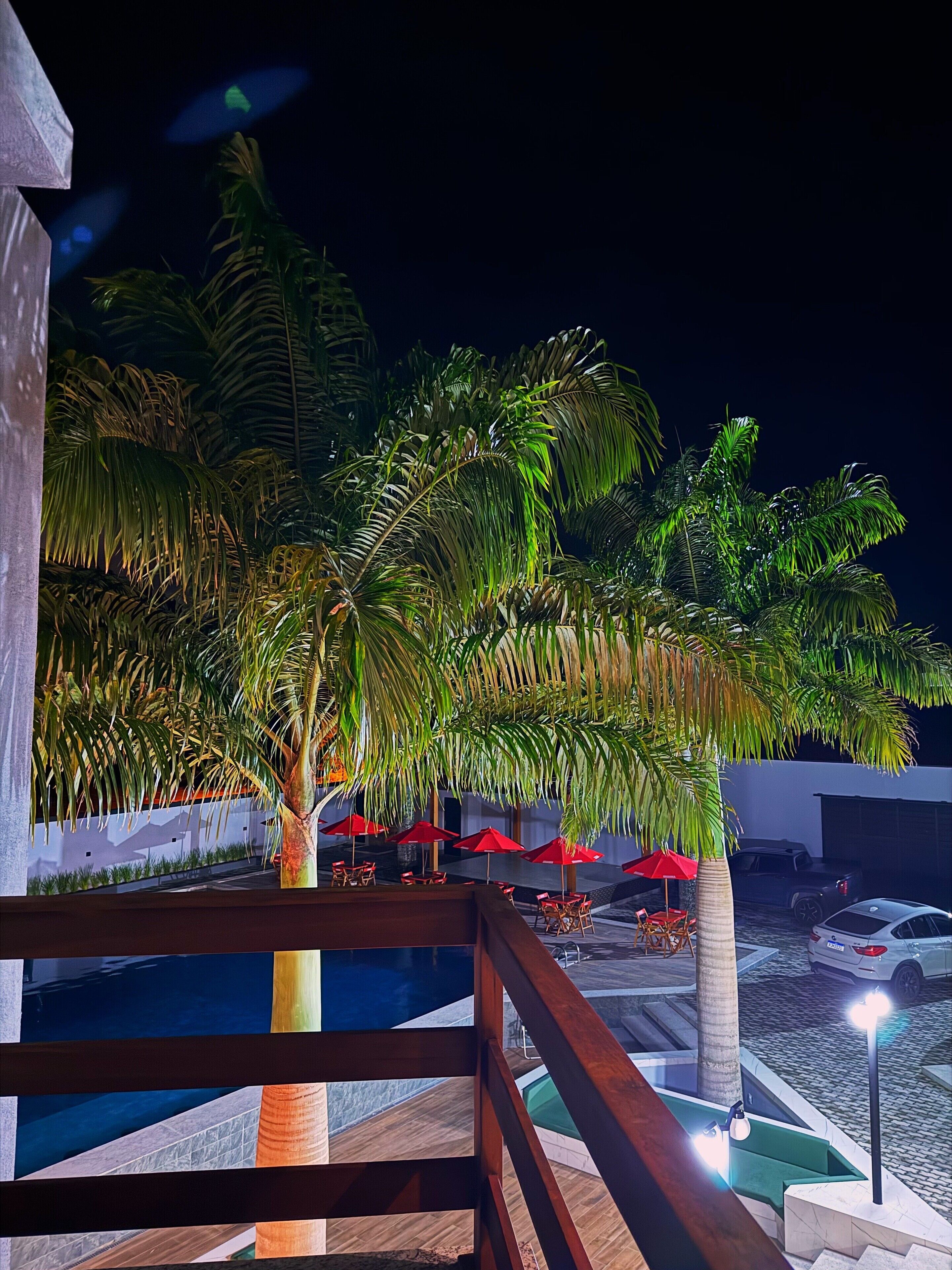 Suite presidencial, vista a la alberca | Terraza o patio