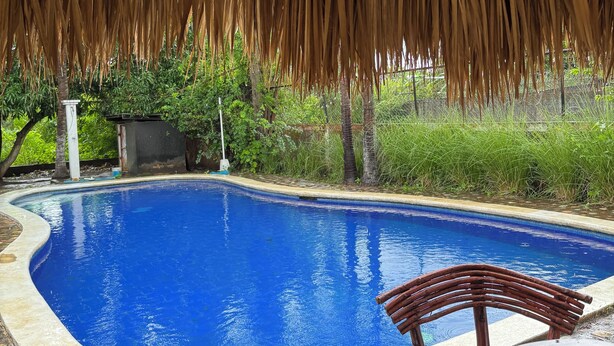 A swimming pool with a thatched roof overhead, surrounded by greenery and a few wooden chairs and tables.