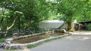 A rustic outdoor area with a small pond, a wooden fence, and a covered structure. - Gujohachimanshizenen - Bungalow (Gujo)