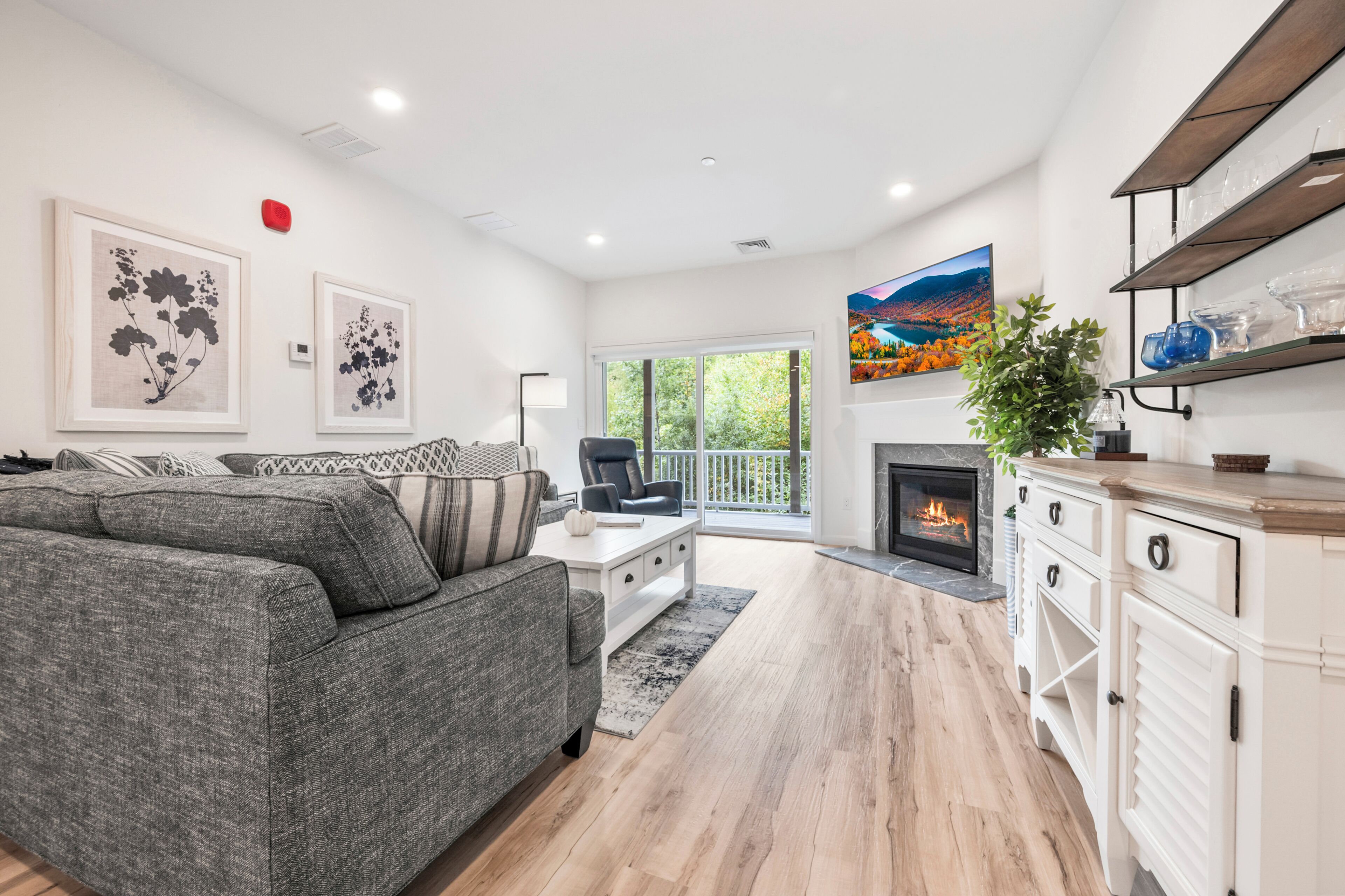 Smart TV, fireplace, books