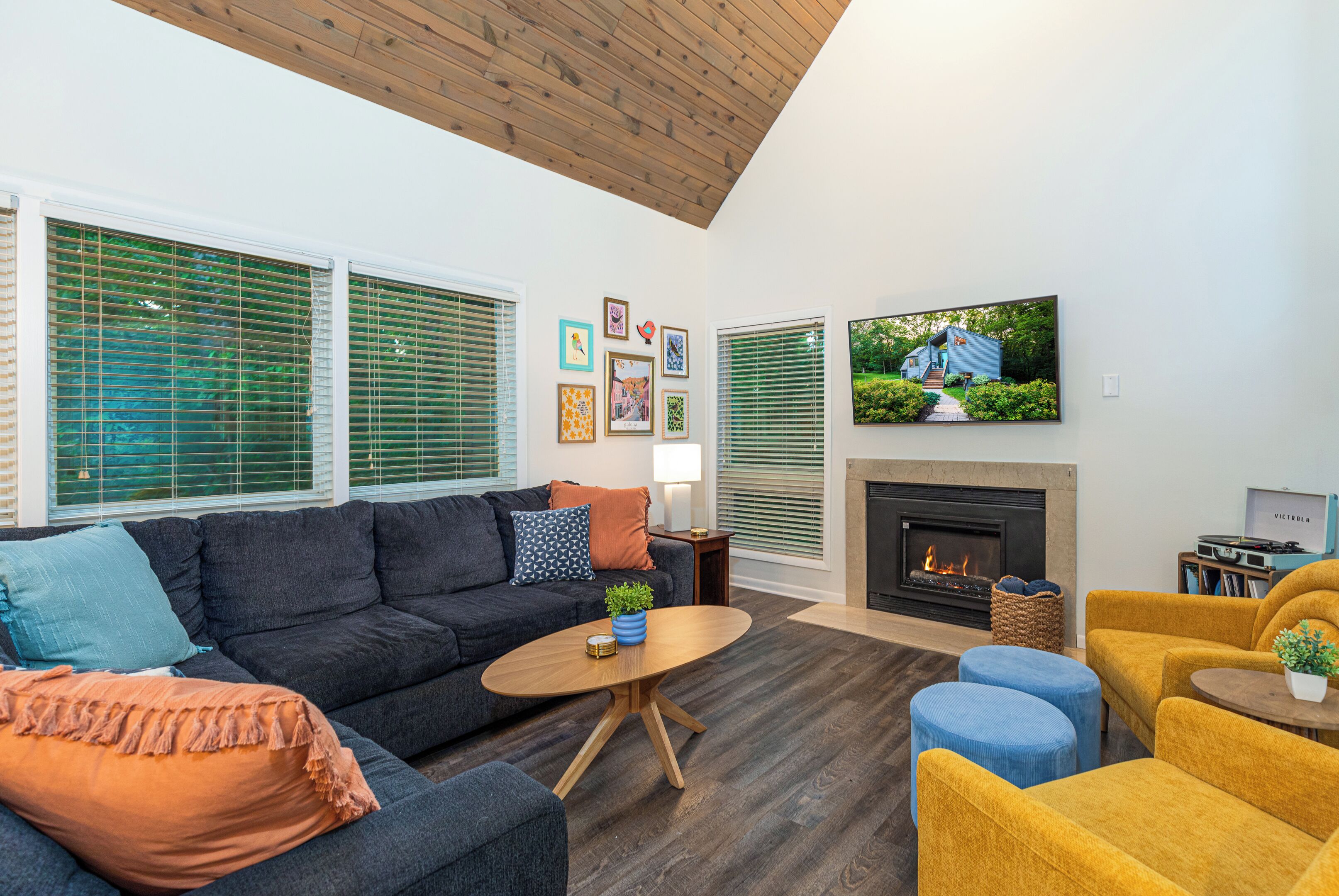 Smart TV, fireplace, books, music library