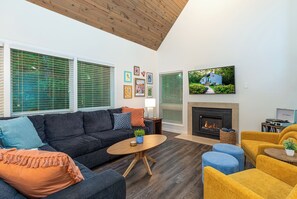 Smart TV, fireplace, books, music library