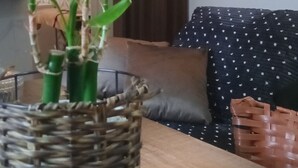 A living room with a woven basket containing green plants, a dark patterned sofa, and a chandelier. - Beautiful beachfront apartment in a prime location in Santos for you and your pet. (Santos)