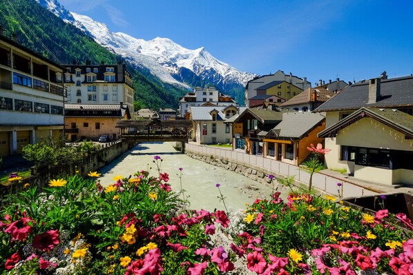 A town with buildings, a river, and a snow-capped mountain in the background.