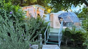 Un sentier de jardin menant à une structure en forme de dôme géodésique, dotée d’une terrasse en bois et d’un escalier.