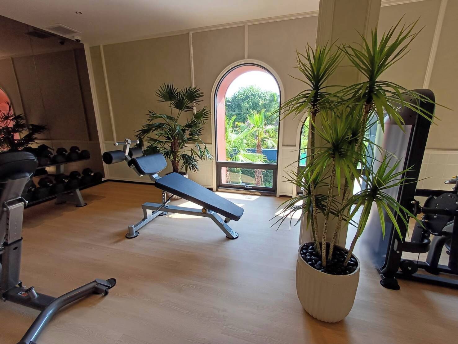 Una palestra con attrezzature per esercizi, una panca e piante in vaso.