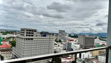 Vista desde la propiedad