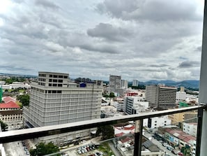 Vista desde la propiedad