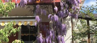 Vacation apartment, 58 sqm 1st floor, 2 separate bedrooms