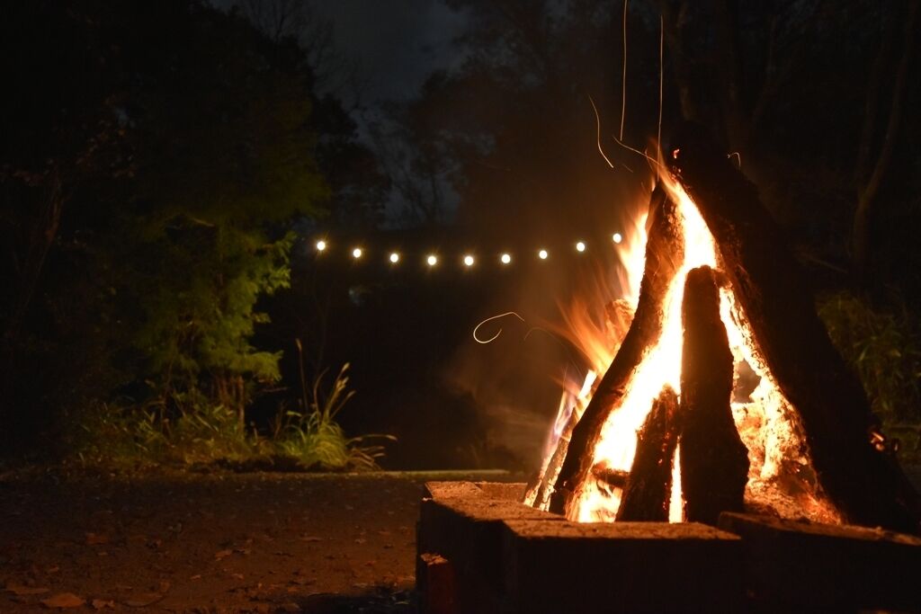 Una fogata con guirnaldas de luces en un área boscosa.