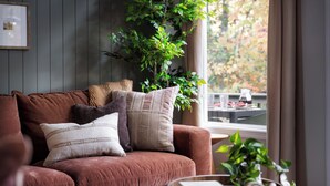 A cozy living room with a brown sofa, multiple cushions, a wooden side table with a plant, and a window with a view of trees.