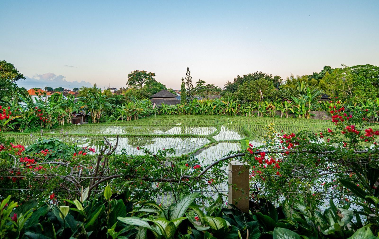Un jardín tranquilo con un estanque, abundante vegetación y una casa tradicional al fondo.