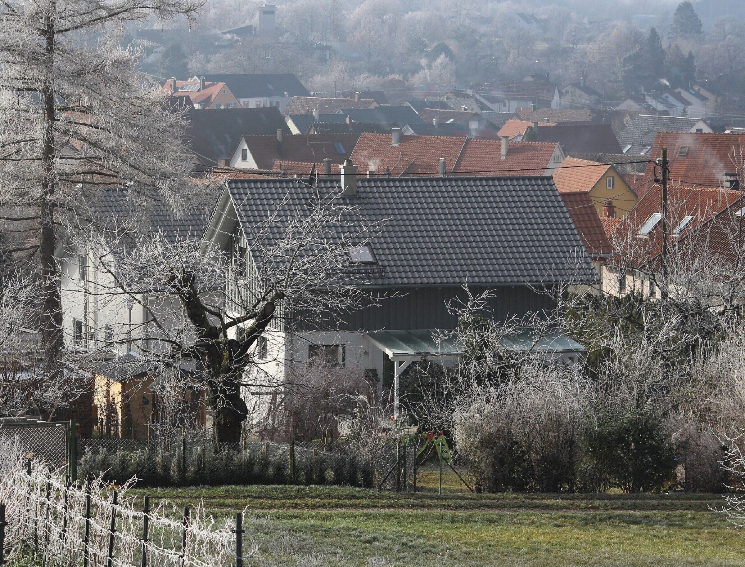 A residential area with houses, a tree, and a fence.