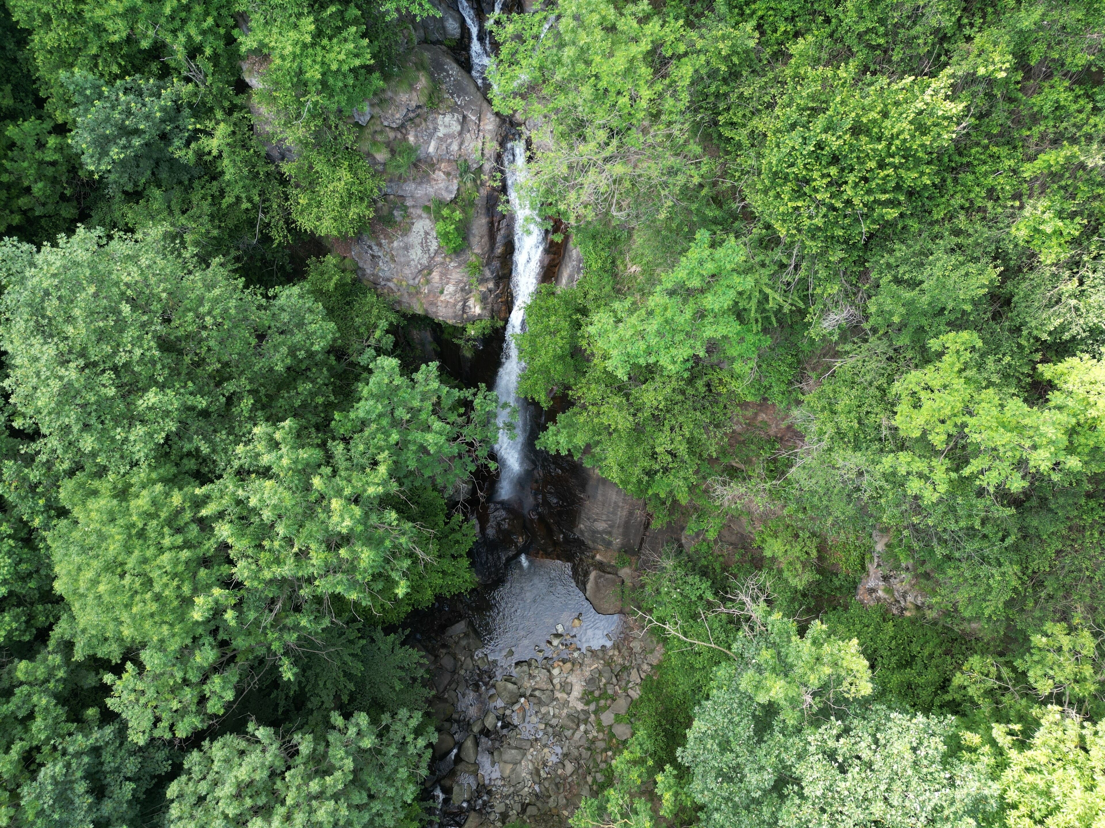 Vista aérea de una cascada rodeada de densa vegetación verde.