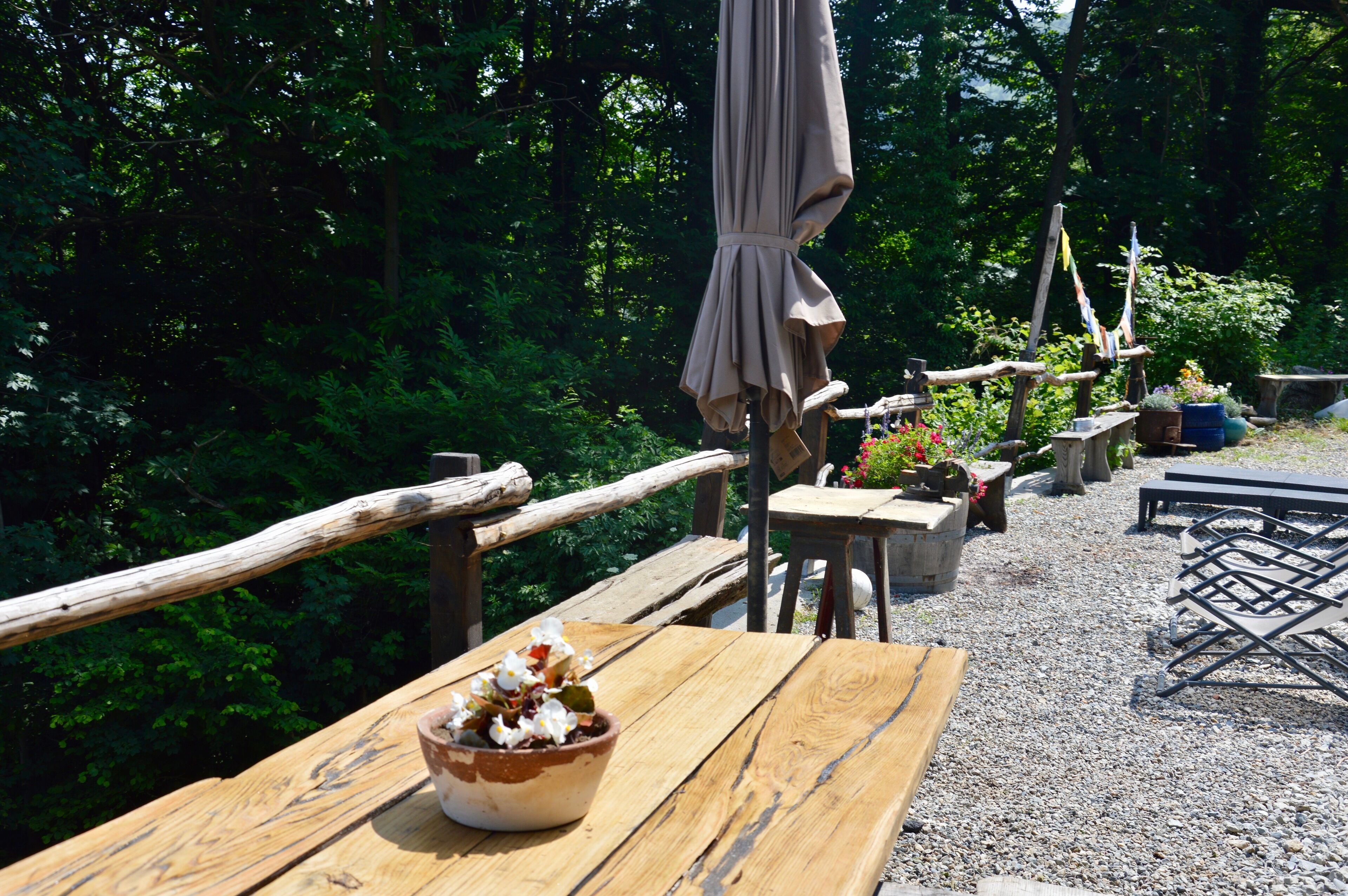 تناول الطعام بالخارج