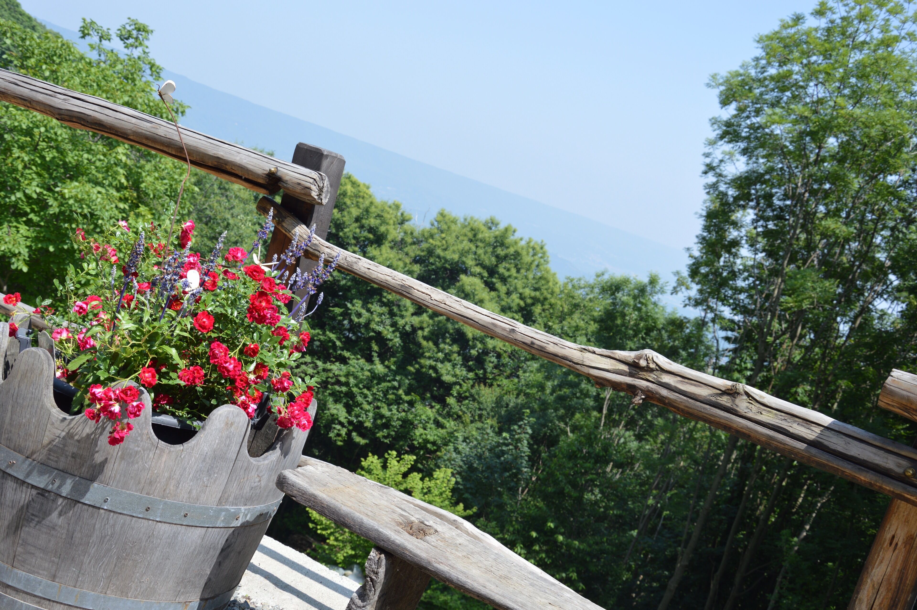 A wooden railing with a flower pot containing red and purple flowers.