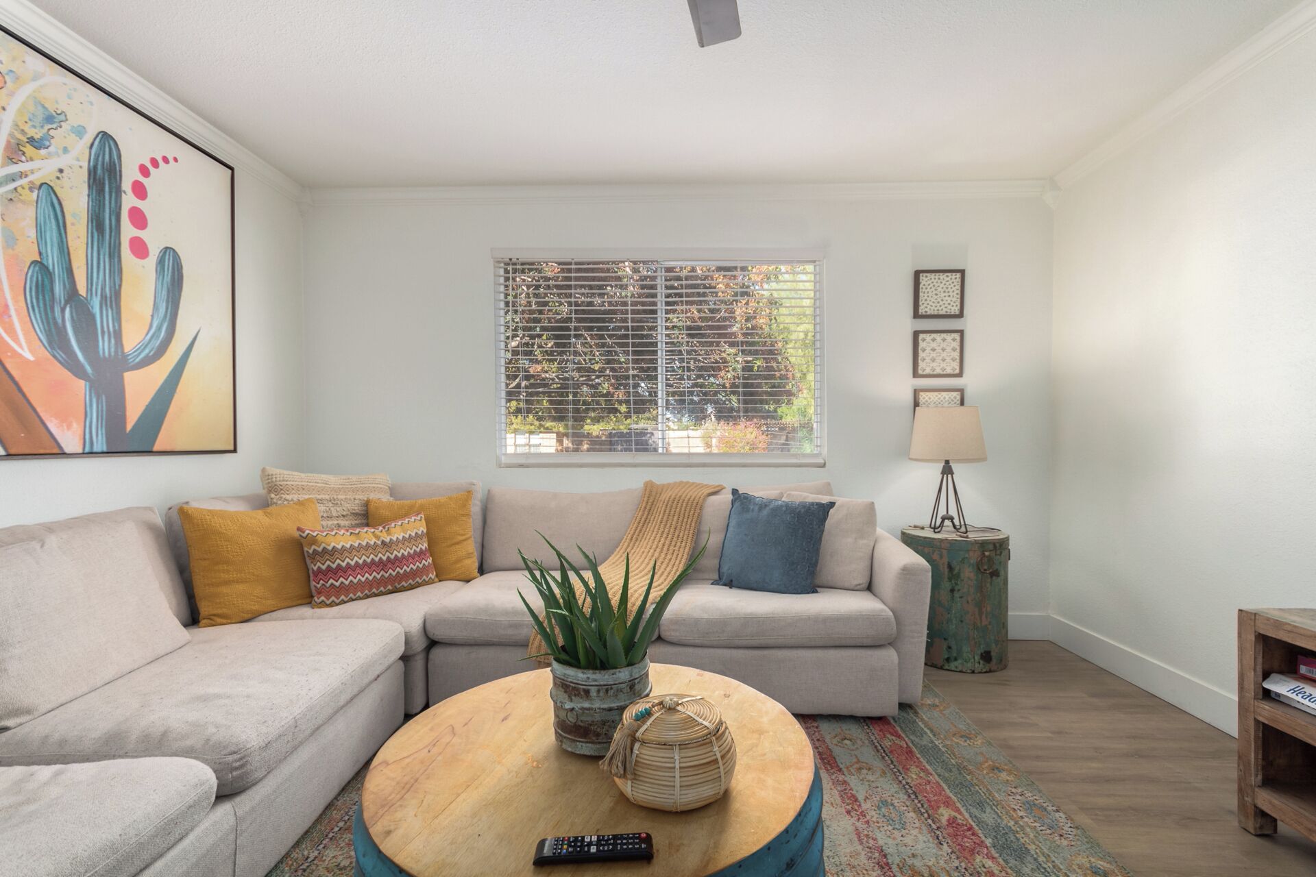 智能电视、乒乓球、书