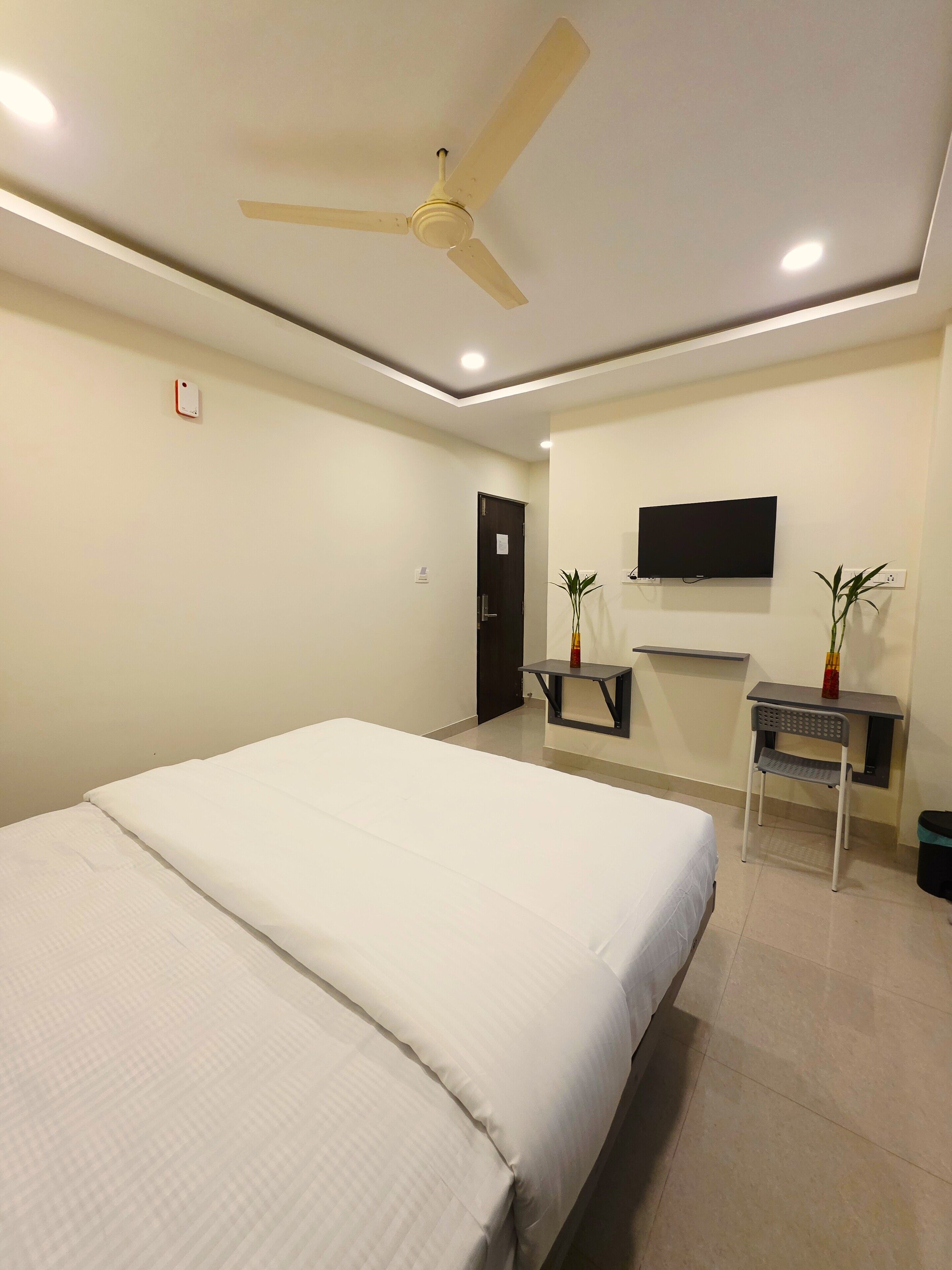 A hotel room with a bed, a desk, a chair, a ceiling fan, a TV, and a plant.
