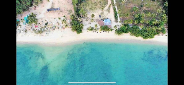An aerial view of a beach with clear turquoise waters, a sandy shore, and scattered palm trees.