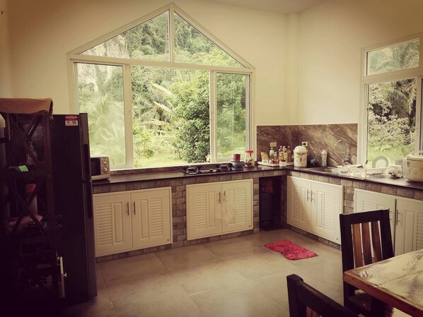 Fridge, microwave, oven, coffee/tea maker
