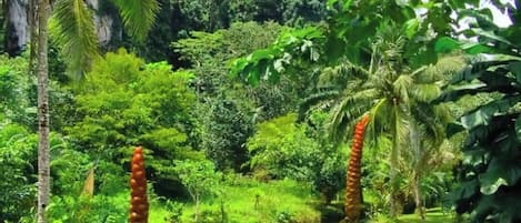 Jardines del alojamiento