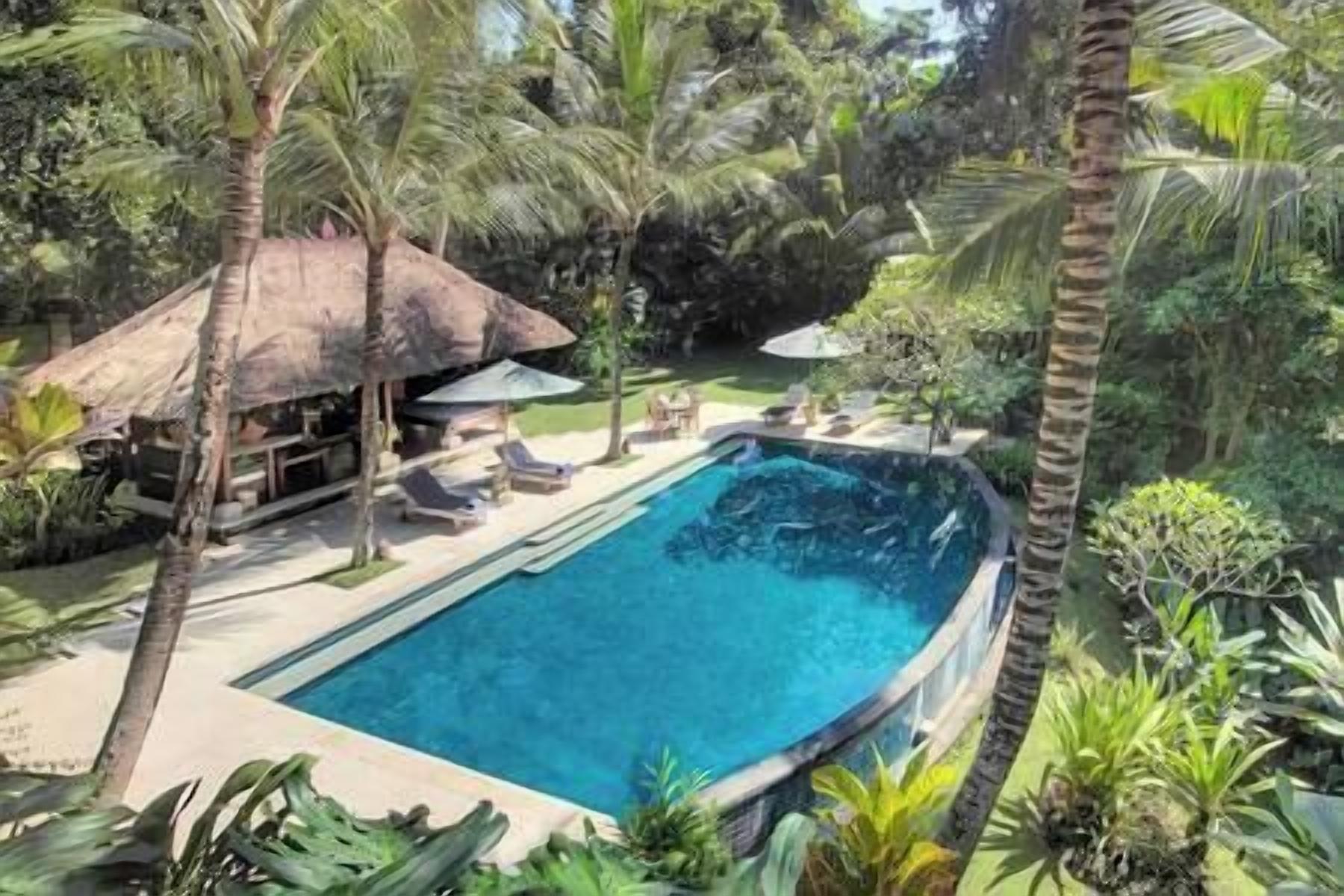 Une piscine rectangulaire bordée de pierres, entourée de palmiers et d’une végétation luxuriante.
