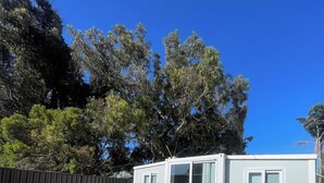 Ein kleines, modernes Haus mit Terrasse, einer Schiebetür und einem eingezäunten Garten.