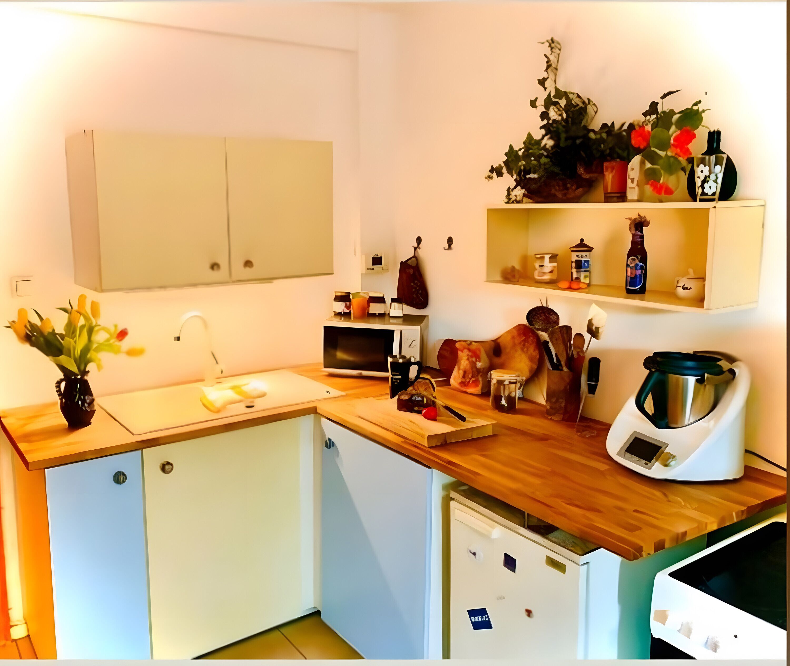 Kühlschrank, Mikrowelle, Ofen, Herdplatte