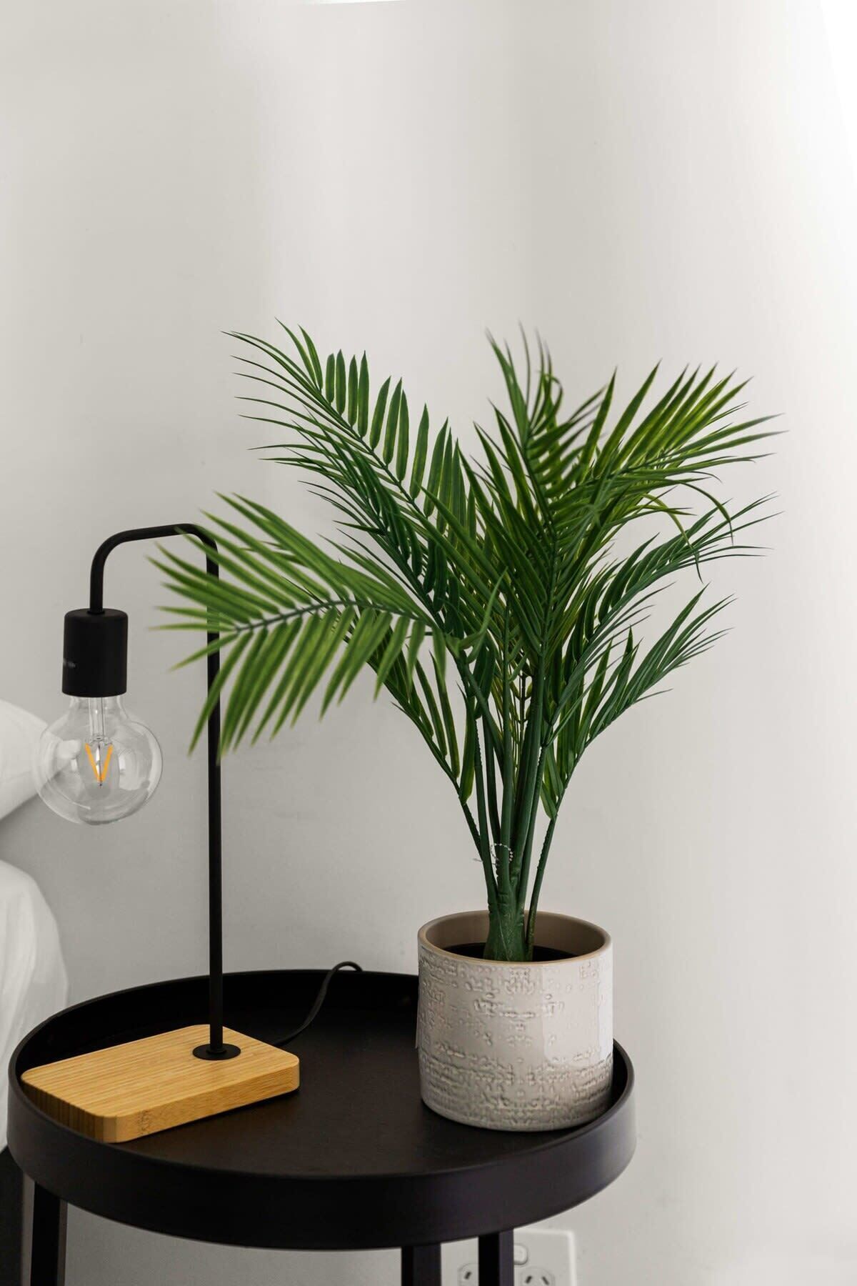 Uma mesa redonda preta com uma planta em vaso e uma luminária.