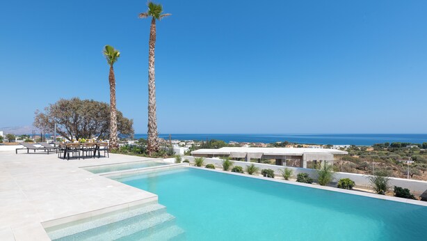 A swimming pool with a clear view of the sea, surrounded by palm trees and a modern building.