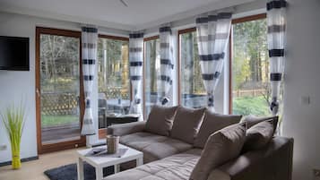 Fernseher, Kamin