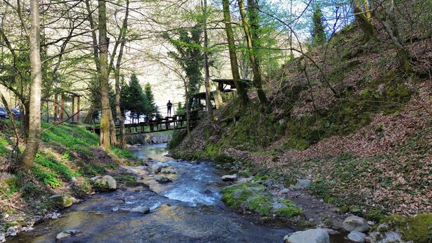 A forested area with a stream, a wooden bridge, and a person standing on it.
