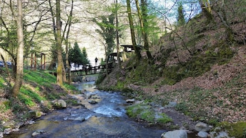 Zona boscosa con un arroyo, un puente de madera y una persona sobre él.
