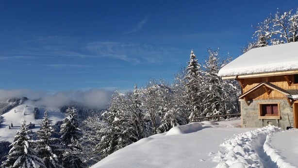 A wooden cabin with a snow-covered roof, surrounded by snow-laden trees and a clear sky. - Morzine: panoramic, south-facing, comfortable chalet (Morzine)