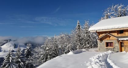 Morzine: panoramic, south-facing, comfortable chalet