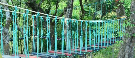 A rope bridge in a forested area.