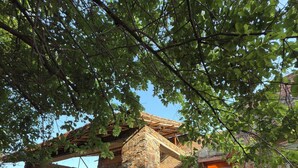 A stone building with a wooden door and a stone staircase leading up to a covered area. - Sariska Kasba - A Village Resort (Rajgarh)
