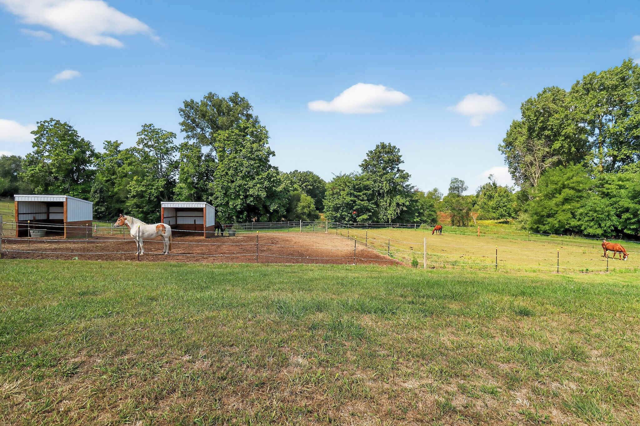 A fenced outdoor area with horses, a small building, and trees.