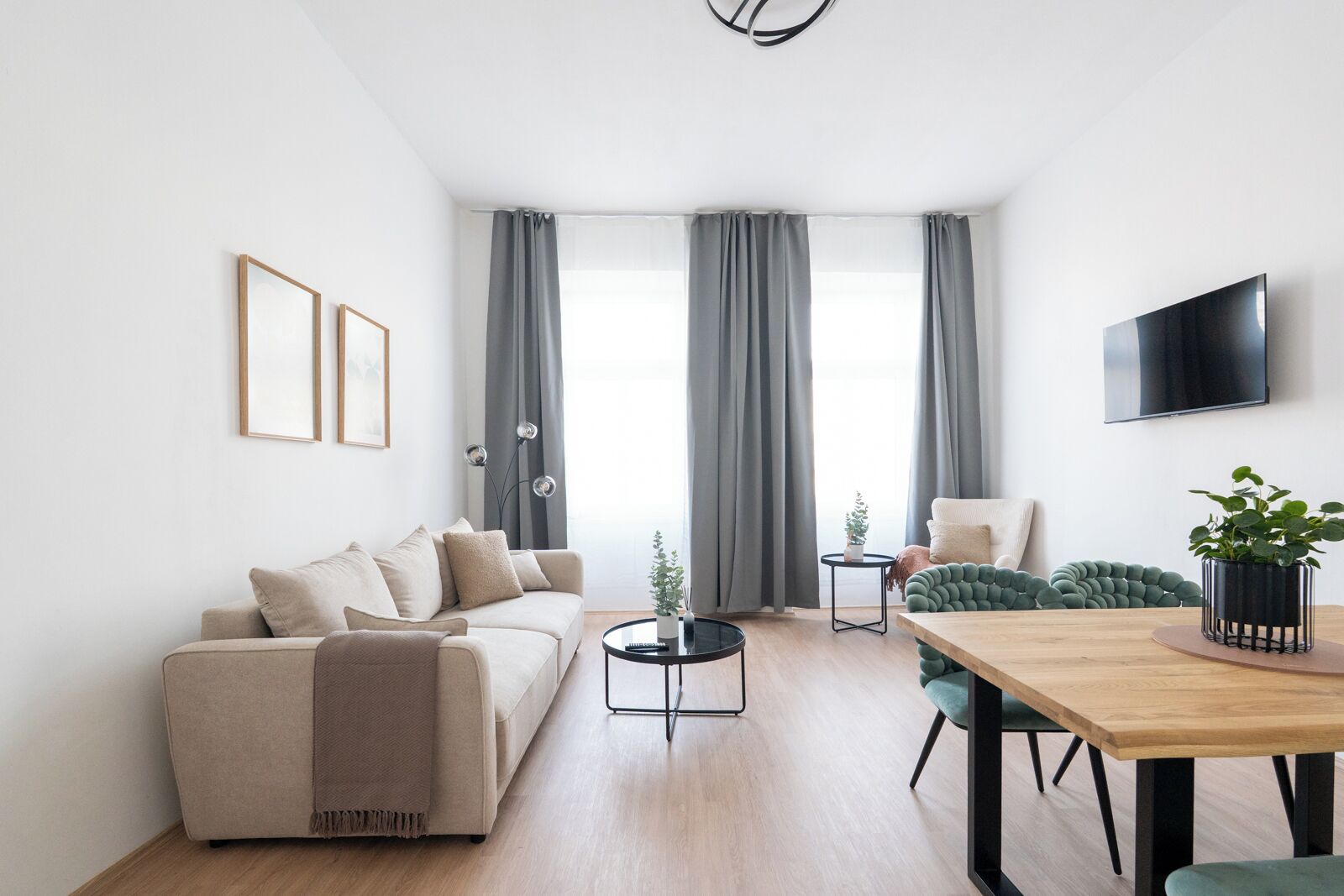 A modern living room with a sofa, a dining table, a TV, and a plant.