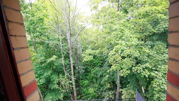 A view from a balcony with a brick wall and metal railing, overlooking a dense forest with various trees.