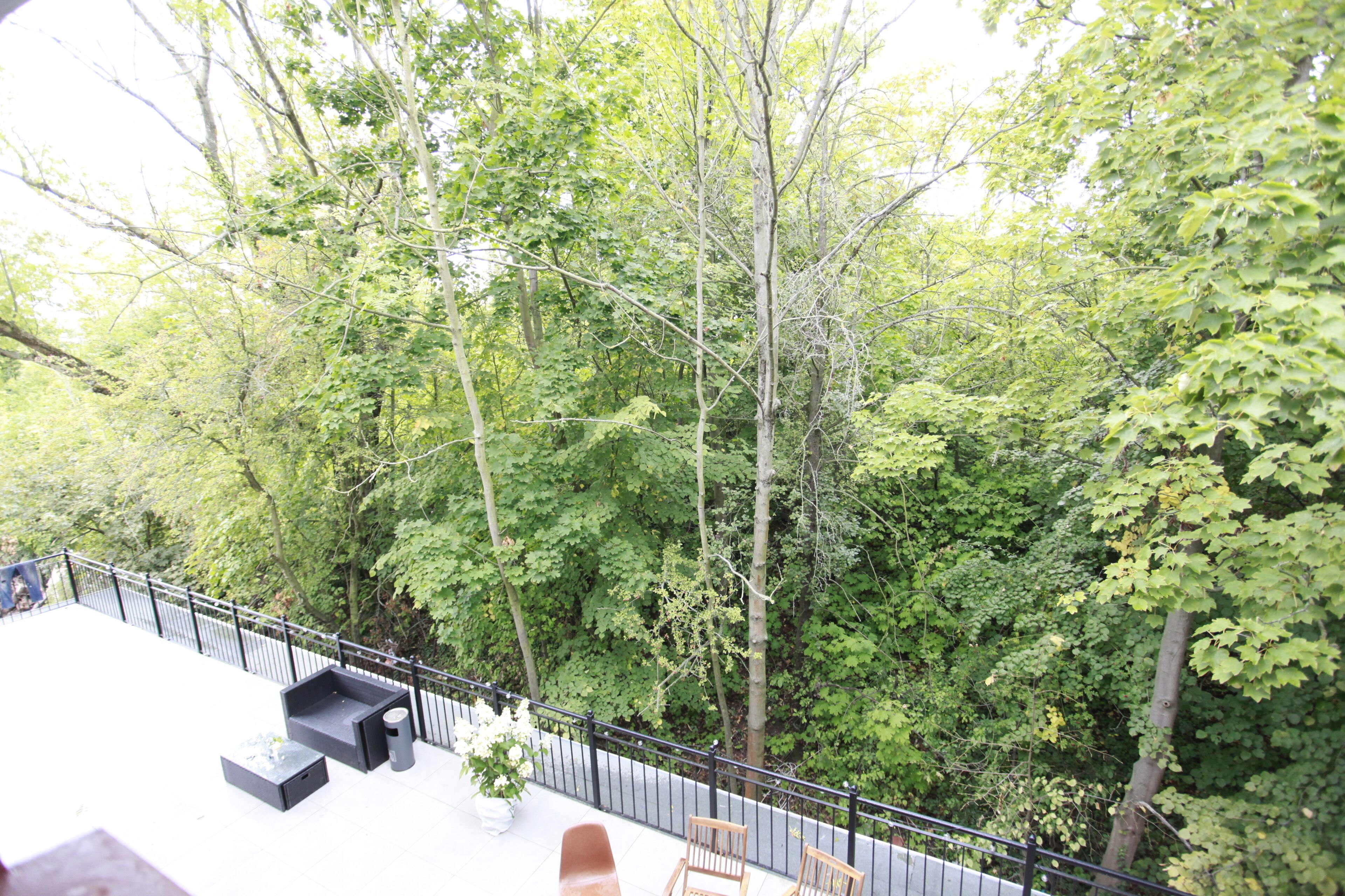 Une terrasse sur le toit, dotée d’un espace extérieur aménagé et offrant une vue sur une forêt dense.