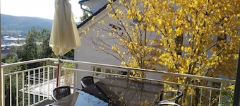 Apartment 'Wiedmann'