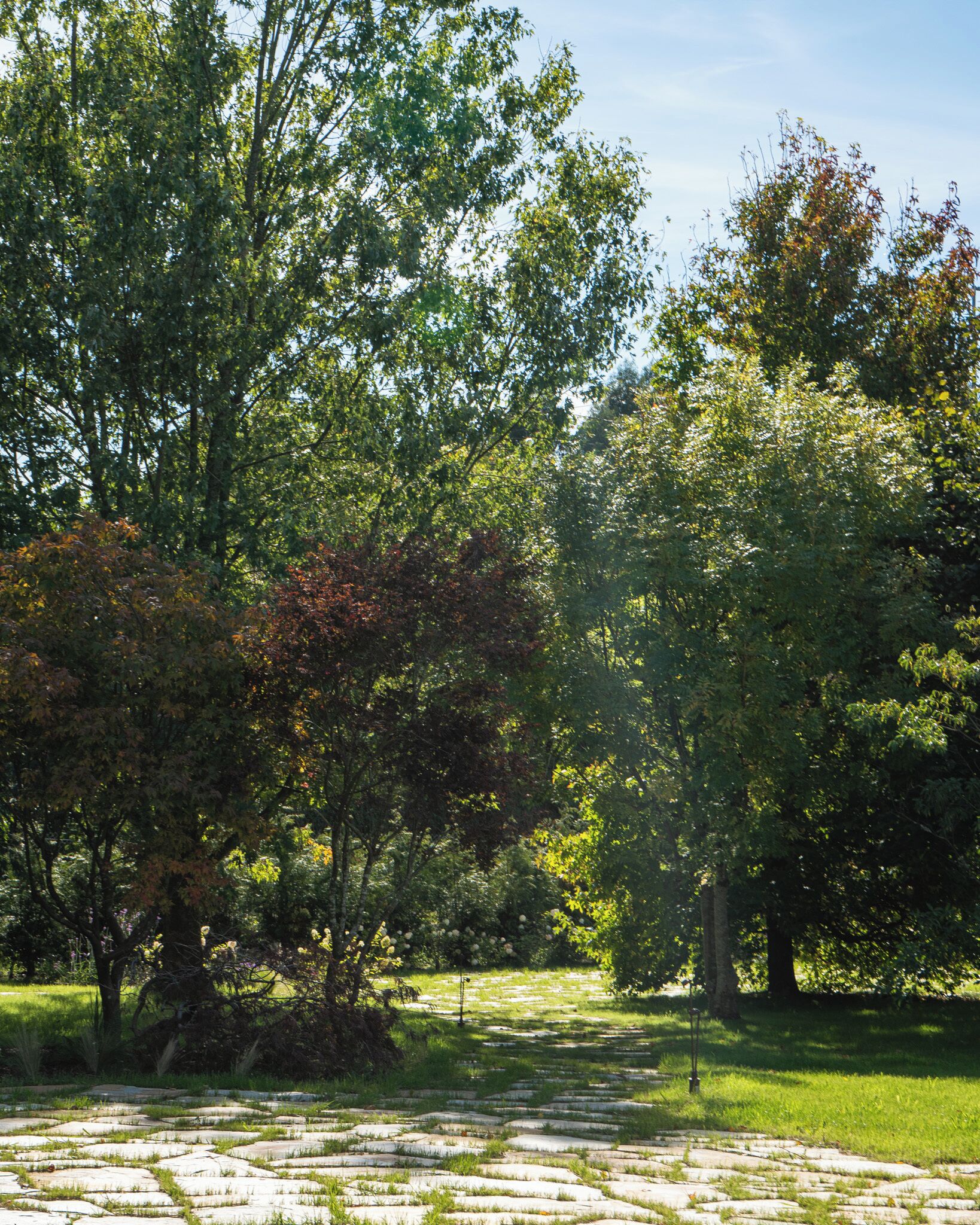 Ein Kiesweg in einem Park mit Bäumen und Gras.