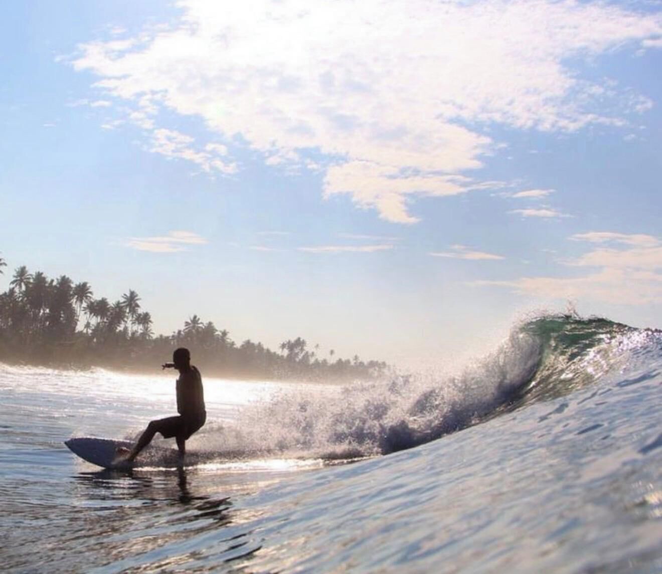 A person surfing on a wave with a beach and palm trees in the background.