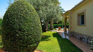 Ein gepflegter Garten mit ordentlich geschnittenem Heckenstreifen, einer Terrassenfläche mit Liegestühlen und einem Gebäude mit gefliestem Eingang.