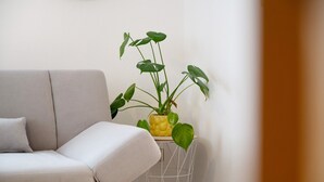 A neutral-colored sofa, a potted plant with heart-shaped leaves, and a small white wire basket. - Apartment 'Malia' with Shared Terrace, Shared Garden and Wi-Fi (Neubulach)