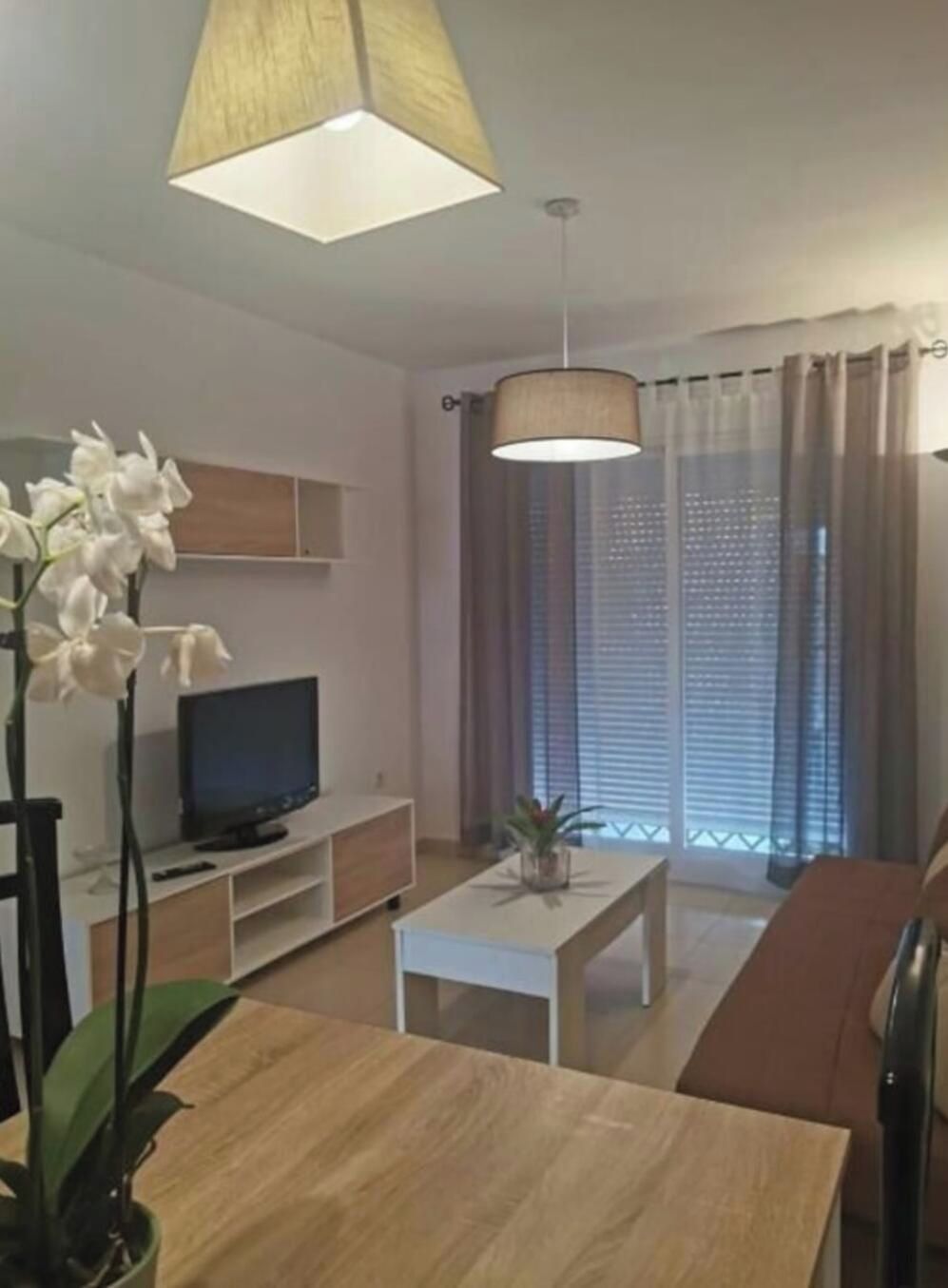 Un salon avec un téléviseur, une table basse et une plante.