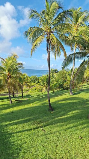 Property grounds - Ti Paradis Gwada Sea view Water tank Private parking (Saint-François)